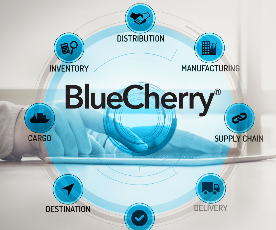 Bluecherry Fashion And Apparel Software